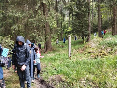 Wycieczka w Góry Sowie s104 - PTTK Strzelin