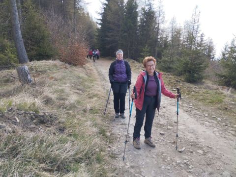 Wycieczka w Zawory m31 - PTTK Strzelin