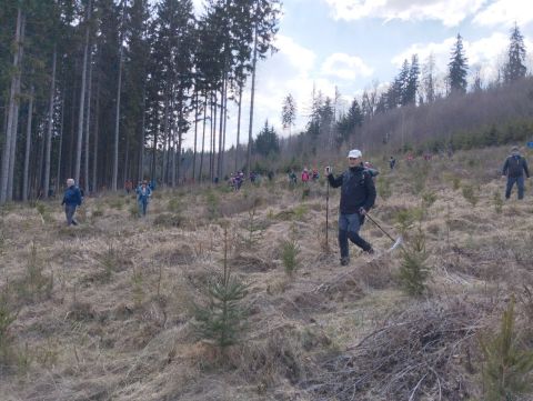 Wycieczka w Zawory m53 - PTTK Strzelin