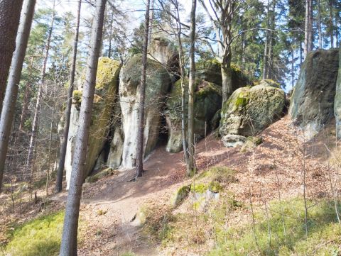 Wycieczka w Zawory m89 - PTTK Strzelin