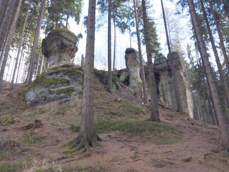 Wycieczka w Zawory dz93 - PTTK Strzelin