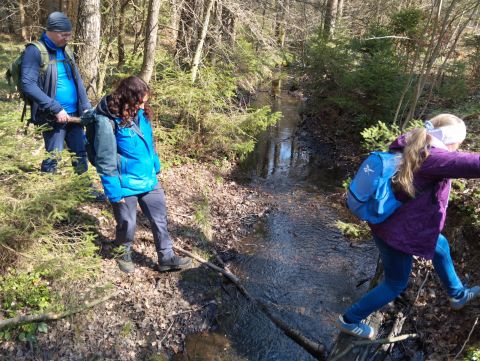 Wycieczka w Zawory m120 - PTTK Strzelin