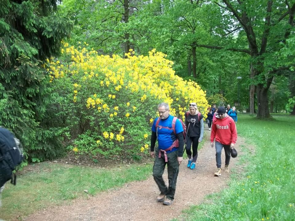 Wycieczka Zlatohorská vrchovina s002 - PTTK Strzelin
