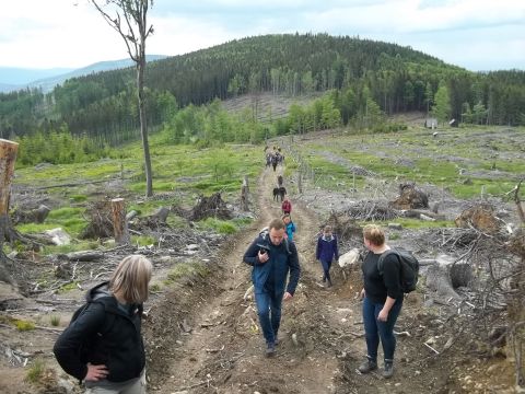 Wycieczka Zlatohorská vrchovina s71 - PTTK Strzelin