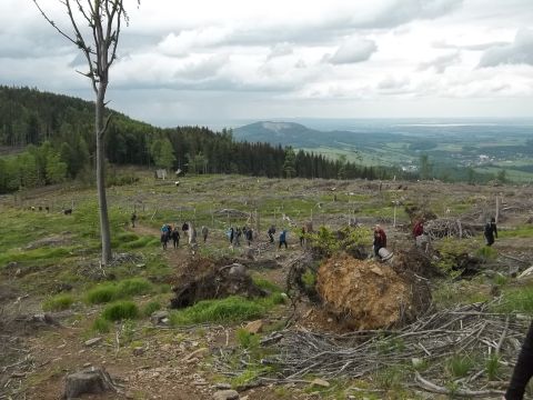 Wycieczka Zlatohorská vrchovina s72 - PTTK Strzelin