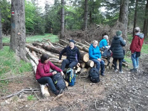 Wycieczka Zlatohorská vrchovina s87 - PTTK Strzelin