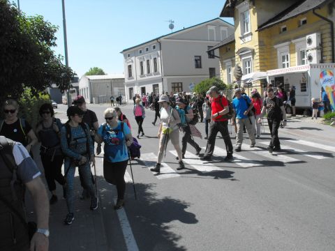 Wycieczka Zlatohorská vrchovina s1 - PTTK Strzelin