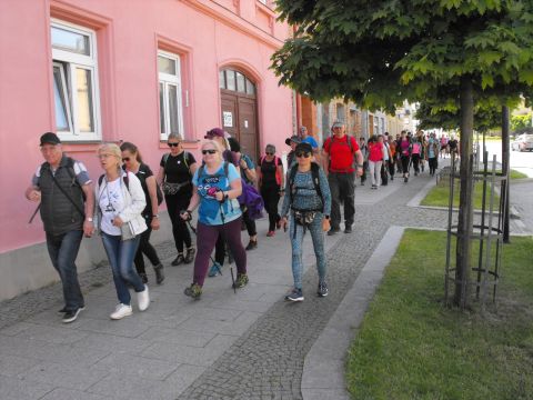 Wycieczka Zlatohorská vrchovina s4 - PTTK Strzelin