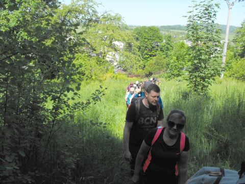 Wycieczka Zlatohorská vrchovina s7 - PTTK Strzelin