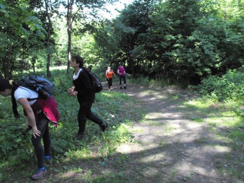 Wycieczka Zlatohorská vrchovina s16 - PTTK Strzelin