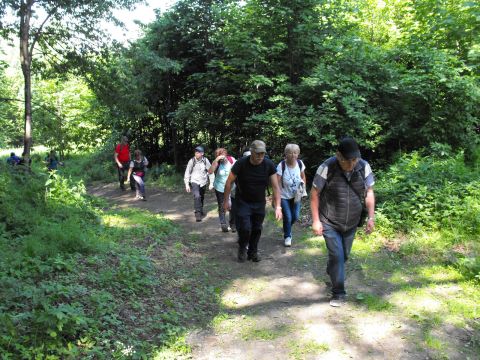 Wycieczka Zlatohorská vrchovina s19 - PTTK Strzelin