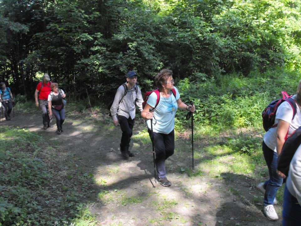 Wycieczka Zlatohorská vrchovina s002 - PTTK Strzelin