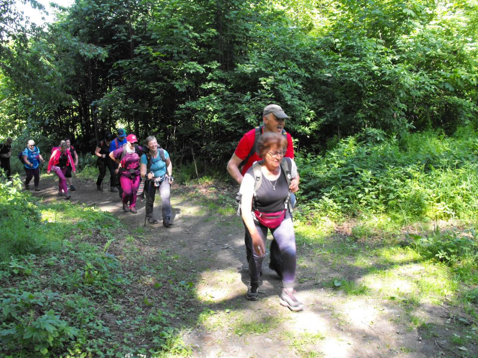 Wycieczka Zlatohorská vrchovina s002 - PTTK Strzelin