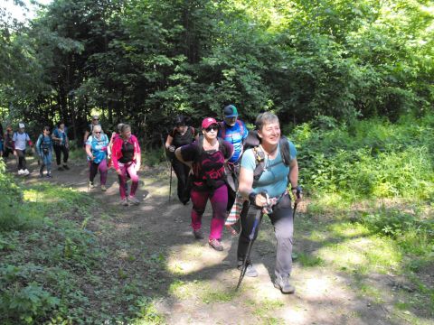 Wycieczka Zlatohorská vrchovina s22 - PTTK Strzelin