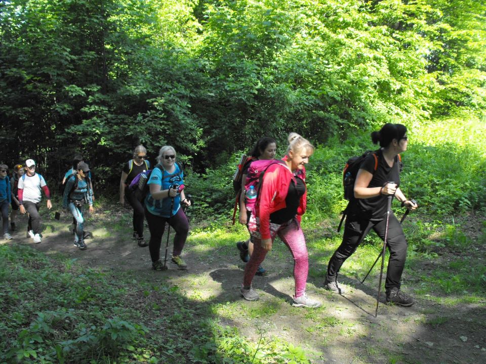 Wycieczka Zlatohorská vrchovina s002 - PTTK Strzelin