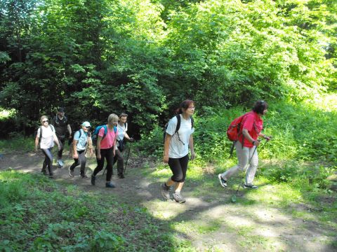 Wycieczka Zlatohorská vrchovina s26 - PTTK Strzelin