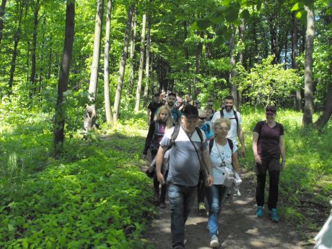 Wycieczka Zlatohorská vrchovina s36 - PTTK Strzelin