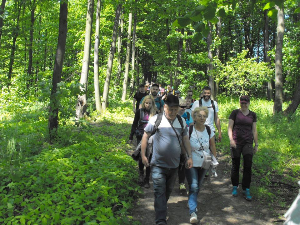 Wycieczka Zlatohorská vrchovina s002 - PTTK Strzelin