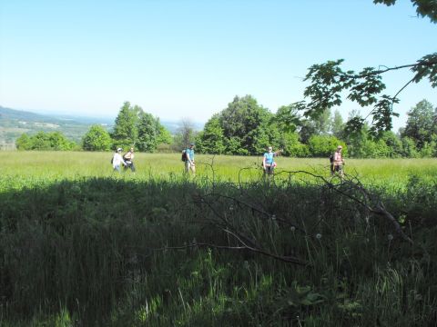 Wycieczka Zlatohorská vrchovina s37 - PTTK Strzelin