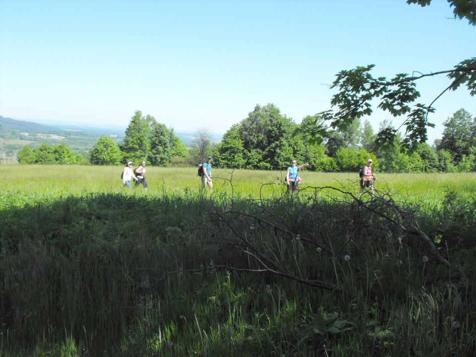 Wycieczka Zlatohorská vrchovina s002 - PTTK Strzelin