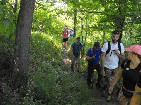 Wycieczka Zlatohorská vrchovina s38 - PTTK Strzelin