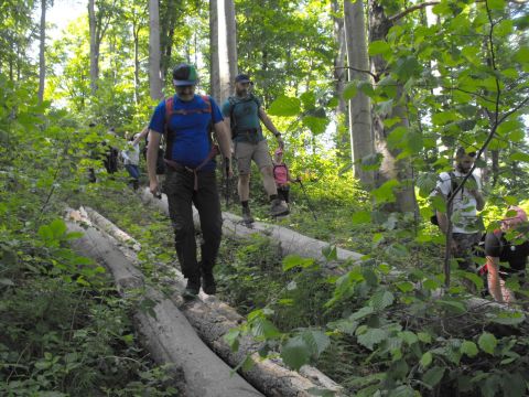Wycieczka Zlatohorská vrchovina s39 - PTTK Strzelin