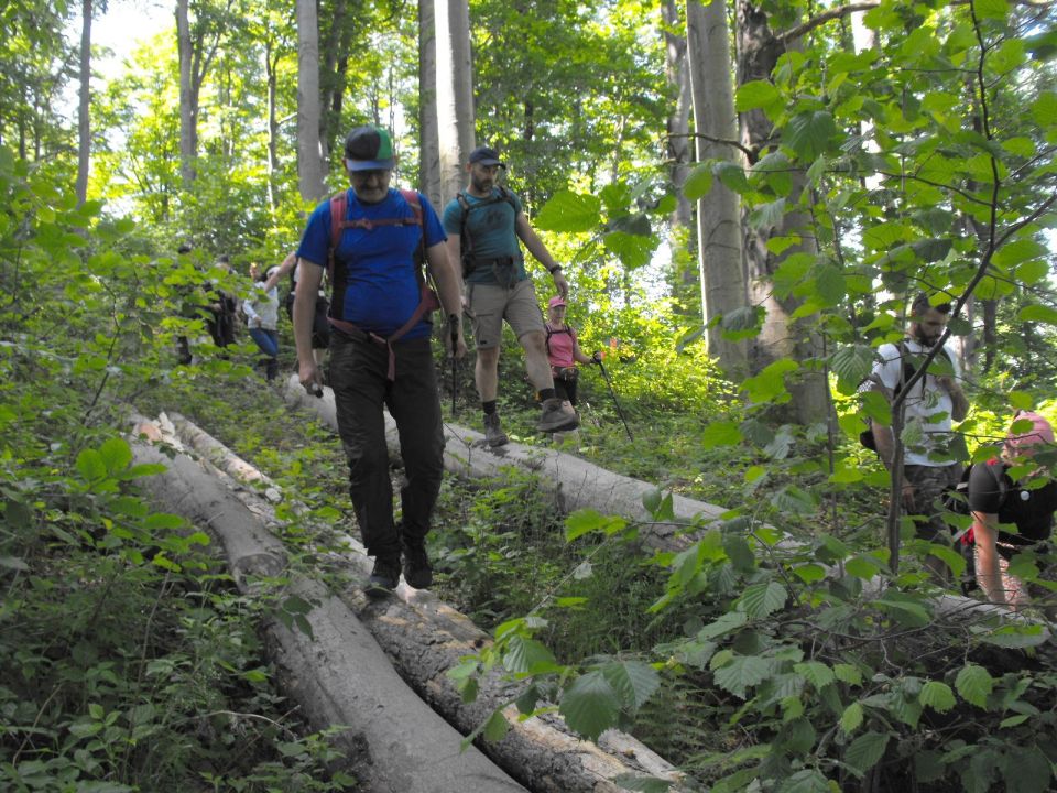 Wycieczka Zlatohorská vrchovina s002 - PTTK Strzelin