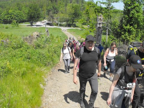 Wycieczka Zlatohorská vrchovina s64 - PTTK Strzelin