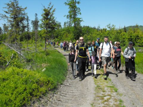 Wycieczka Zlatohorská vrchovina s65 - PTTK Strzelin