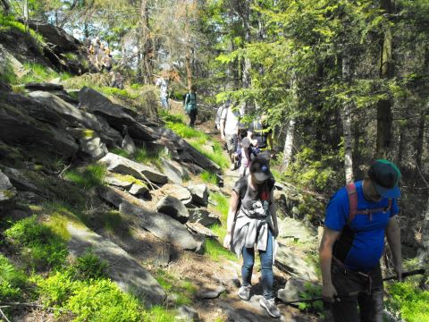 Wycieczka Zlatohorská vrchovina s67 - PTTK Strzelin