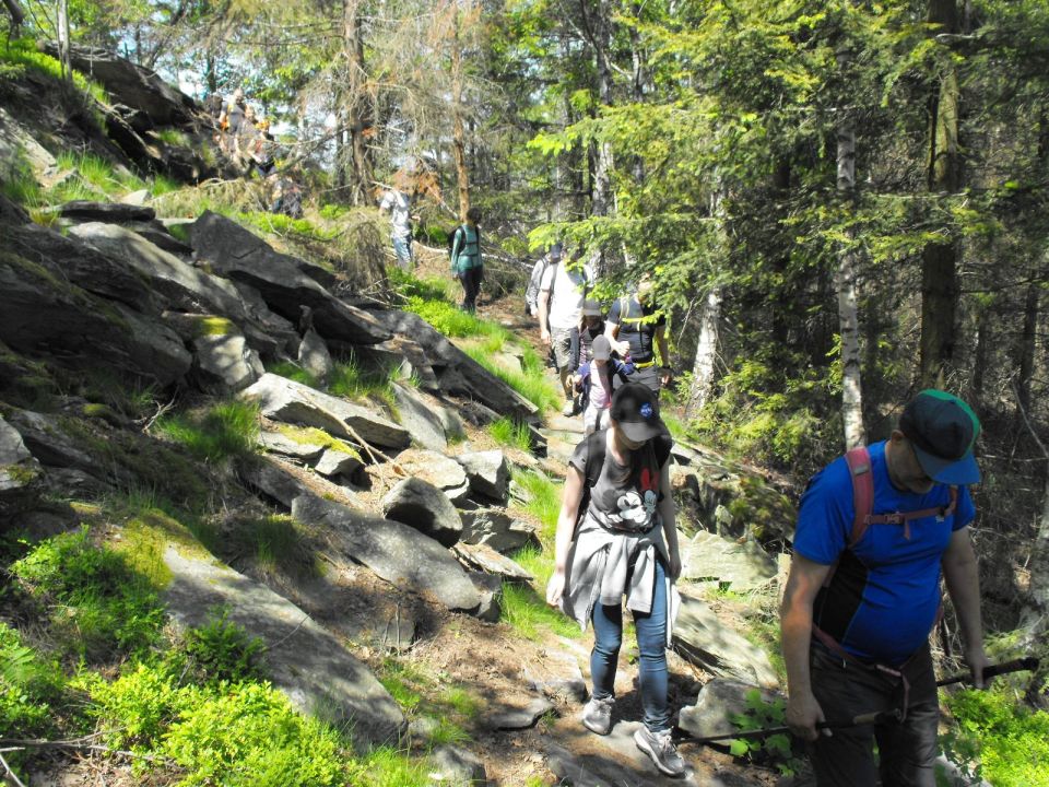 Wycieczka Zlatohorská vrchovina s002 - PTTK Strzelin