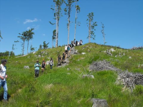 Wycieczka Zlatohorská vrchovina s74 - PTTK Strzelin