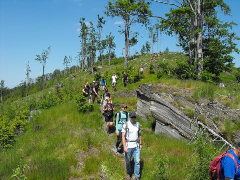 Wycieczka Zlatohorská vrchovina s77 - PTTK Strzelin