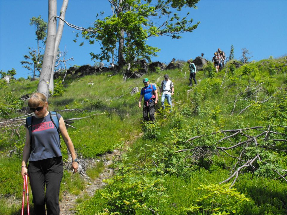 Wycieczka Zlatohorská vrchovina s002 - PTTK Strzelin
