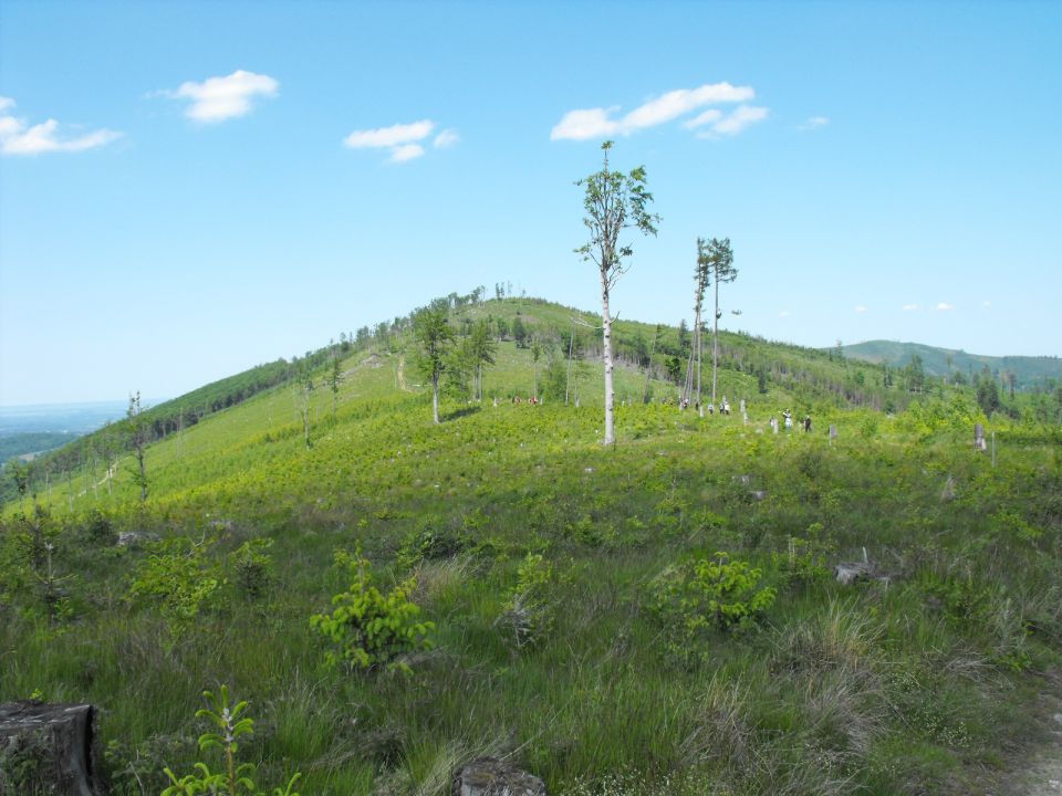 Wycieczka Zlatohorská vrchovina s002 - PTTK Strzelin