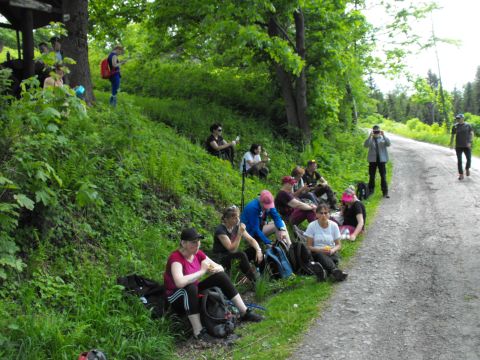 Wycieczka Zlatohorská vrchovina s86 - PTTK Strzelin