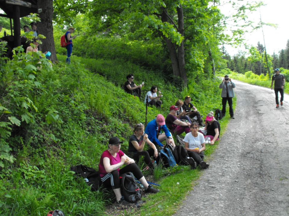 Wycieczka Zlatohorská vrchovina s002 - PTTK Strzelin