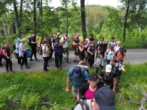 Wycieczka Zlatohorská vrchovina s91 - PTTK Strzelin