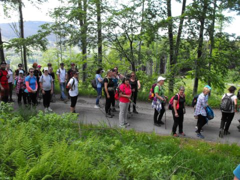 Wycieczka Zlatohorská vrchovina s92 - PTTK Strzelin