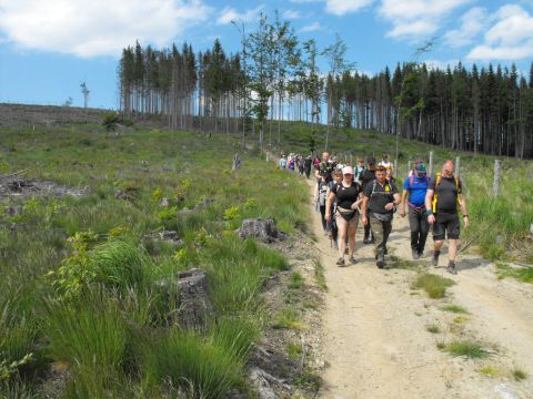 Wycieczka Zlatohorská vrchovina s100 - PTTK Strzelin