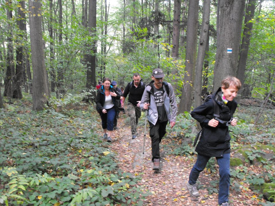 Wycieczka Zlatohorská vrchovina s002 - PTTK Strzelin