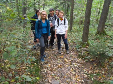 Wycieczka Zlatohorská vrchovina s8 - PTTK Strzelin