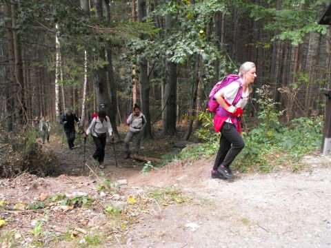 Wycieczka Zlatohorská vrchovina s18 - PTTK Strzelin