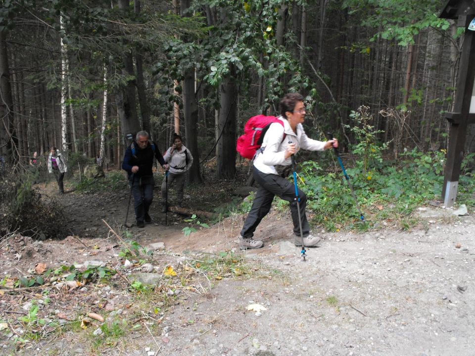 Wycieczka Zlatohorská vrchovina s002 - PTTK Strzelin