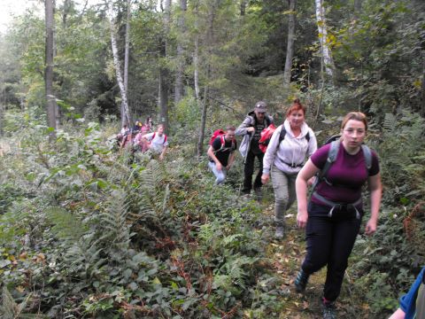Wycieczka Zlatohorská vrchovina s24 - PTTK Strzelin