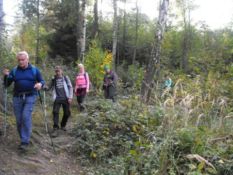 Wycieczka Zlatohorská vrchovina s32 - PTTK Strzelin