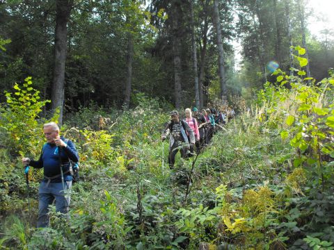 Wycieczka Zlatohorská vrchovina s33 - PTTK Strzelin
