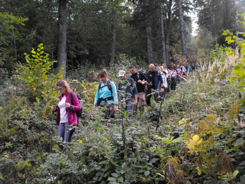 Wycieczka Zlatohorská vrchovina s35 - PTTK Strzelin