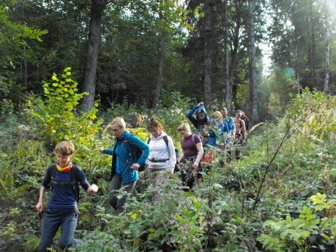 Wycieczka Zlatohorská vrchovina s40 - PTTK Strzelin