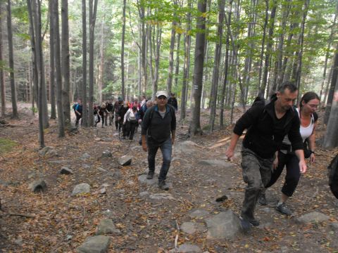 Wycieczka Zlatohorská vrchovina s44 - PTTK Strzelin